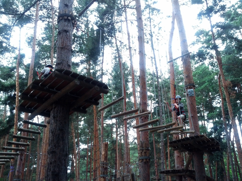Meine mutigen Neffen im Kletterwald Schwindelfrei im Halleschen Heidebad