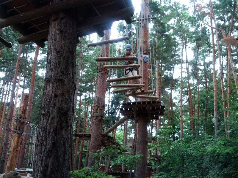 Meine mutigen Neffen im Kletterwald Schwindelfrei im Halleschen Heidebad