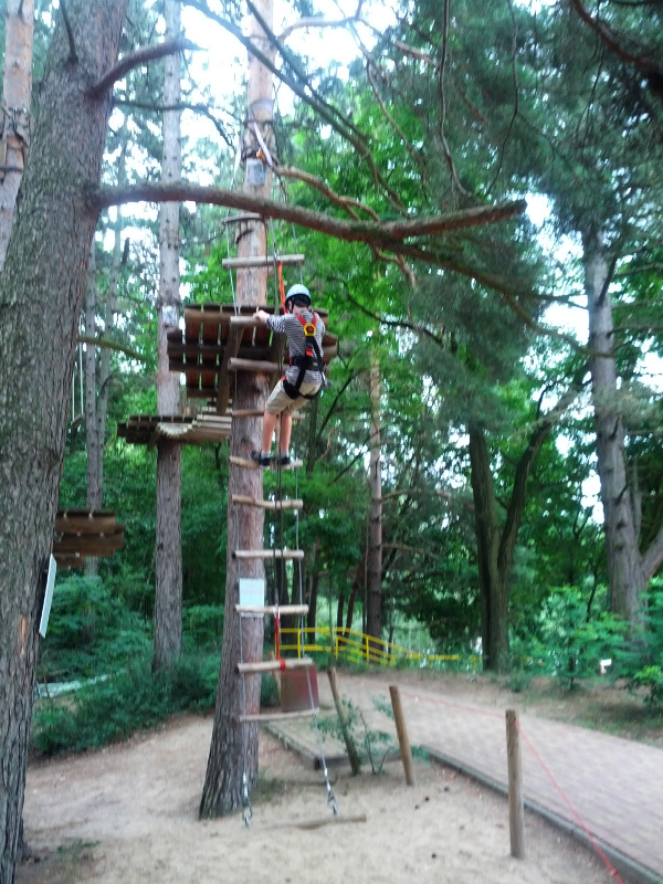 Meine mutigen Neffen im Kletterwald Schwindelfrei im Halleschen Heidebad