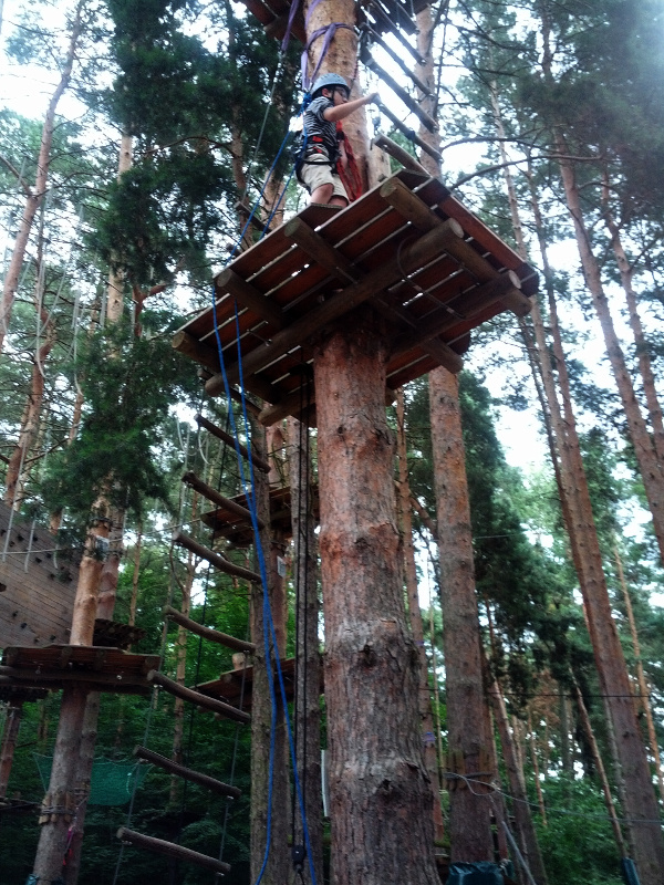 Meine mutigen Neffen im Kletterwald Schwindelfrei im Halleschen Heidebad