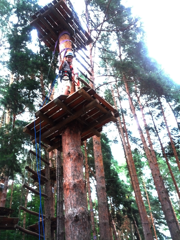 Meine mutigen Neffen im Kletterwald Schwindelfrei im Halleschen Heidebad