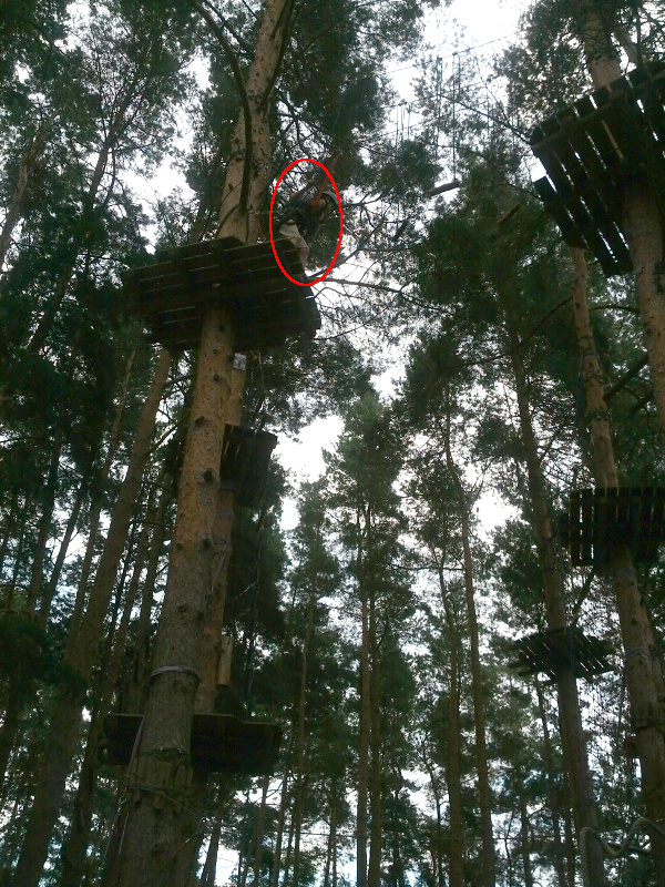 Meine mutigen Neffen im Kletterwald Schwindelfrei im Halleschen Heidebad