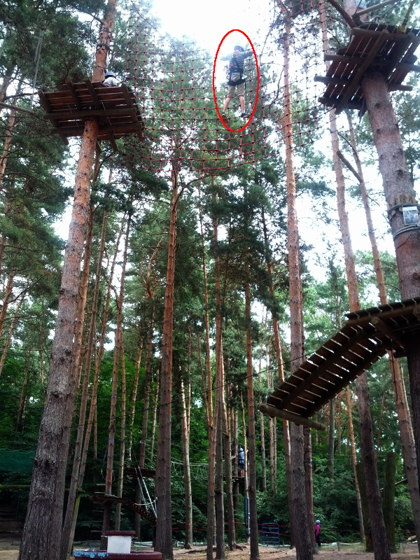 Meine mutigen Neffen im Kletterwald Schwindelfrei im Halleschen Heidebad