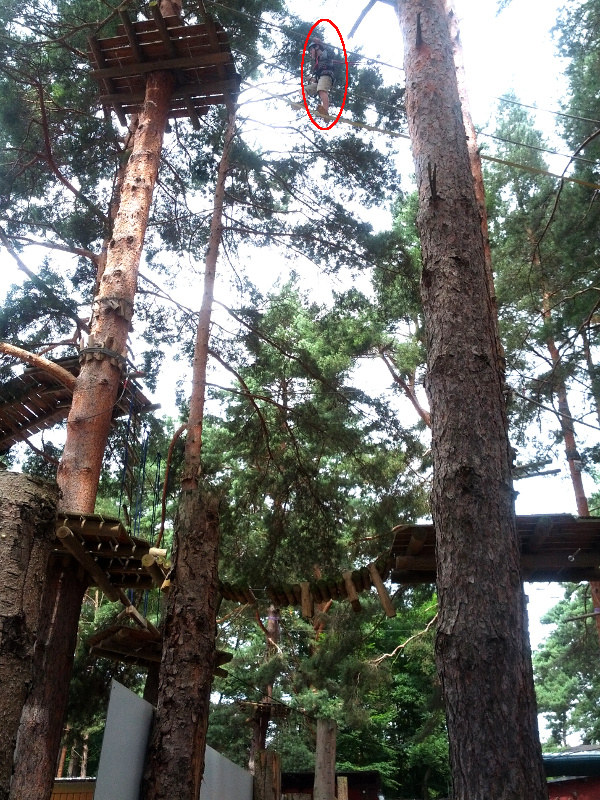 Meine mutigen Neffen im Kletterwald Schwindelfrei im Halleschen Heidebad
