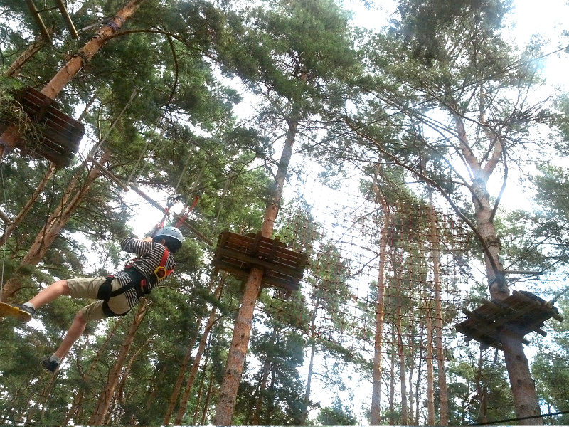 Meine mutigen Neffen im Kletterwald Schwindelfrei im Halleschen Heidebad