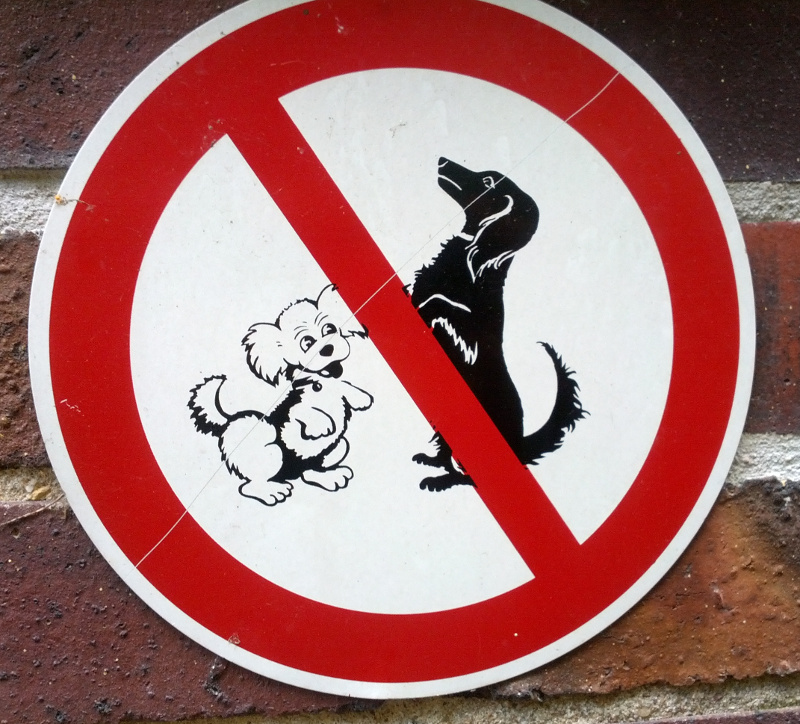 Hundeschild
