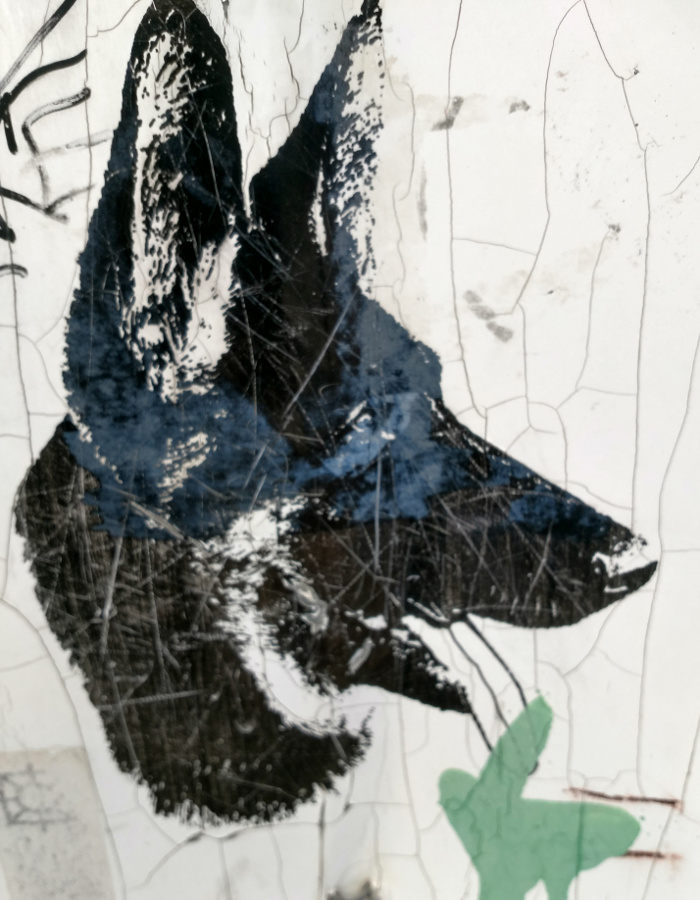 Hundeschild in Athen