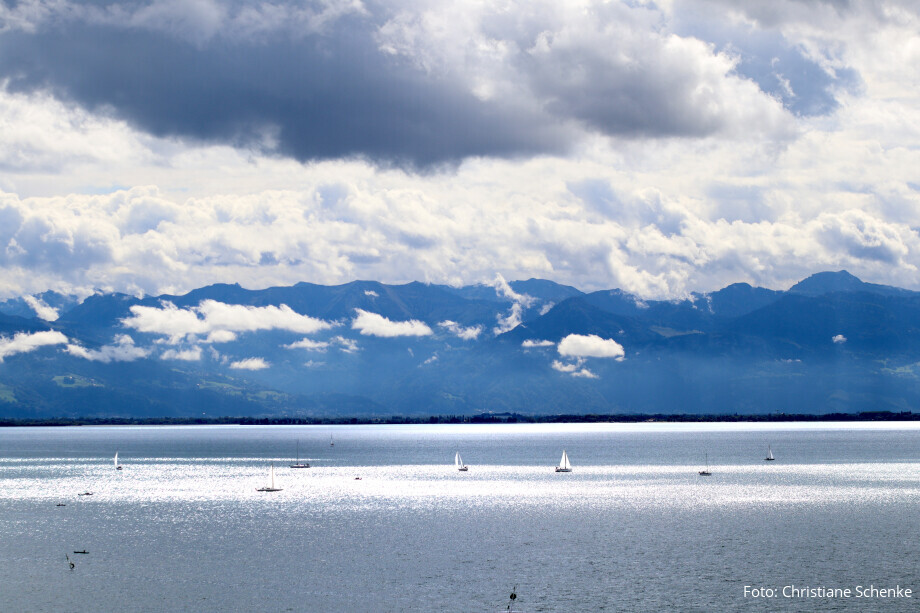 Bodensee und Alpen