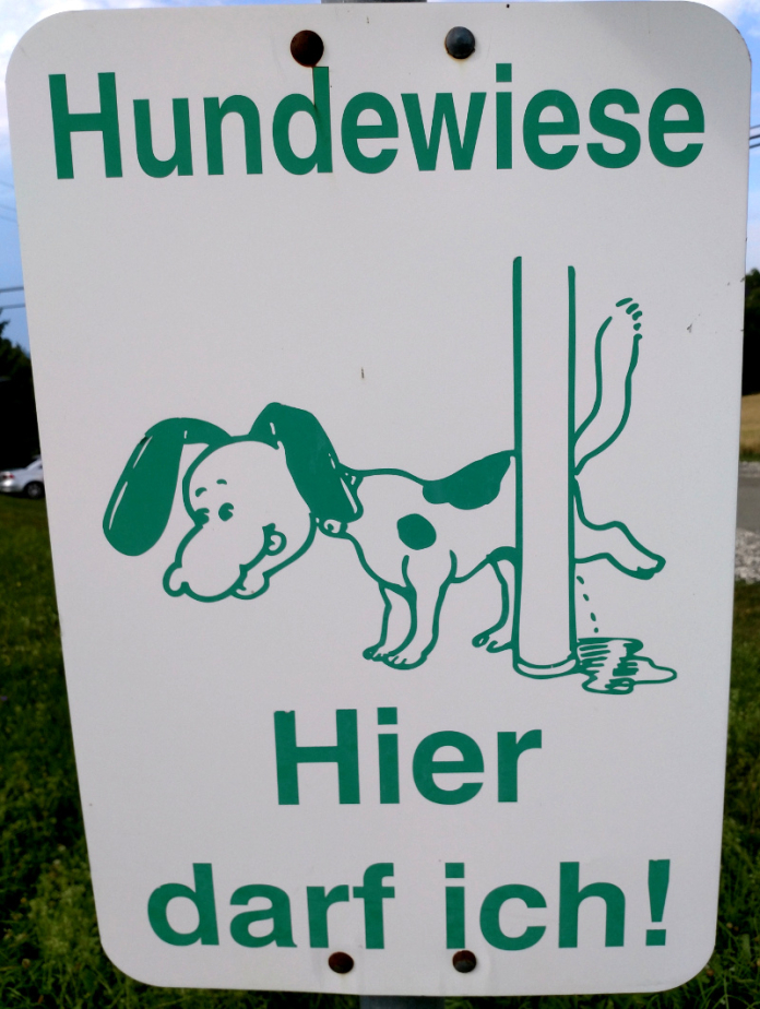 Hundeschild