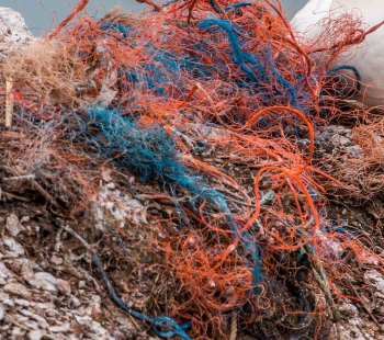 Verfitztes Netz als Sinnbild für eine verworrene Situation